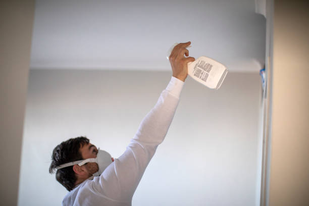 Trusted Whidbey Island Station, WA Mold Removal Experts