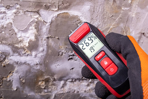 Best Mold Testing  in Whidbey Island Station, WA