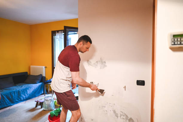 Best Mold Remediation  in Whidbey Island Station, WA